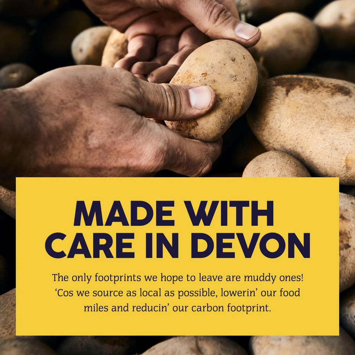 Burts Mature Cheddar And Spring Onion Crisps - 40g (Box of 20) - Image 5